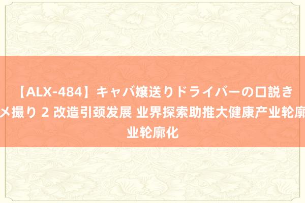 【ALX-484】キャバ嬢送りドライバーの口説きハメ撮り 2 改造引颈发展 业界探索助推大健康产业轮廓化