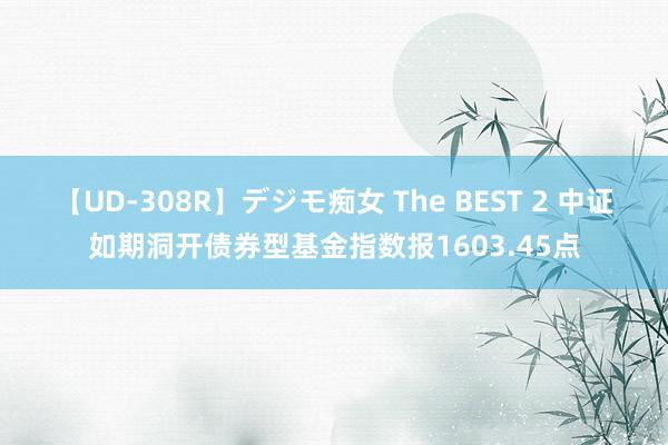 【UD-308R】デジモ痴女 The BEST 2 中证如期洞开债券型基金指数报1603.45点