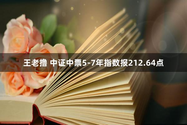 王老撸 中证中票5-7年指数报212.64点