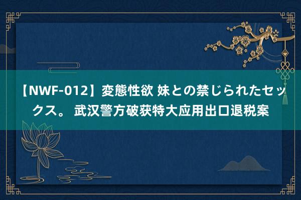 【NWF-012】変態性欲 妹との禁じられたセックス。 武汉警方破获特大应用出口退税案