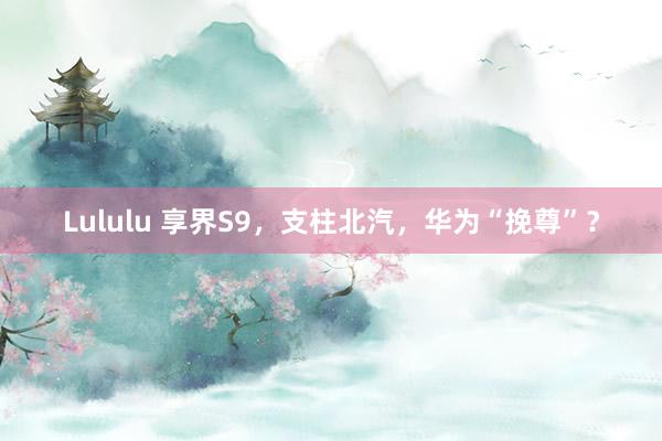 Lululu 享界S9，支柱北汽，华为“挽尊”？