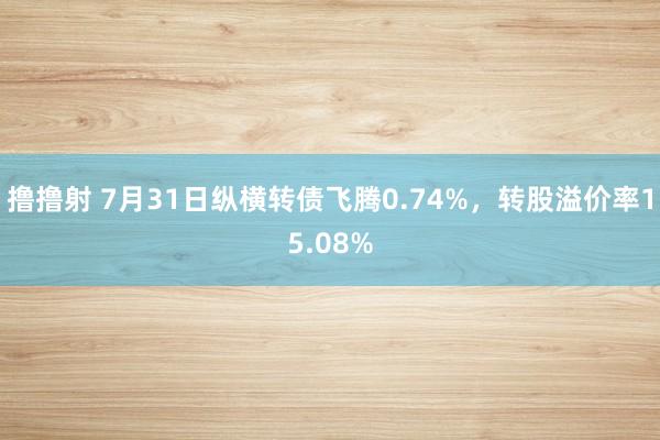 撸撸射 7月31日纵横转债飞腾0.74%，转股溢价率15.08%