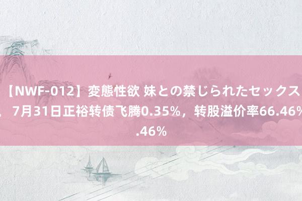 【NWF-012】変態性欲 妹との禁じられたセックス。 7月31日正裕转债飞腾0.35%，转股溢价率66.46%