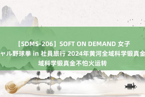 【SDMS-206】SOFT ON DEMAND 女子社員スペシャル野球拳 in 社員旅行 2024年黄河全域科学锻真金不怕火运转