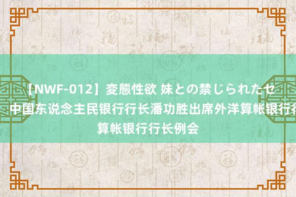 【NWF-012】変態性欲 妹との禁じられたセックス。 中国东说念主民银行行长潘功胜出席外洋算帐银行行长例会