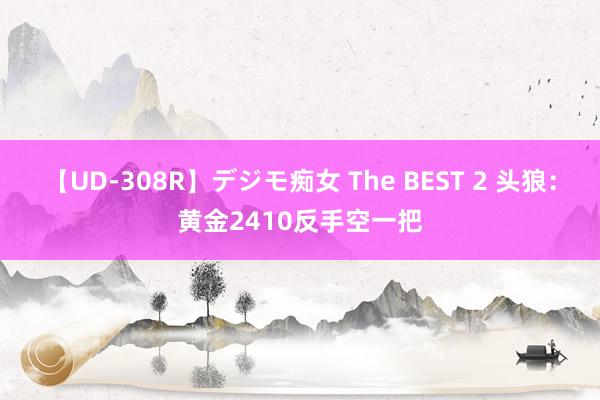 【UD-308R】デジモ痴女 The BEST 2 头狼：黄金2410反手空一把