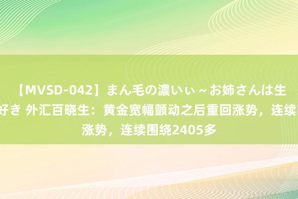 【MVSD-042】まん毛の濃いぃ～お姉さんは生中出しがお好き 外汇百晓生：黄金宽幅颤动之后重回涨势，连续围绕2405多