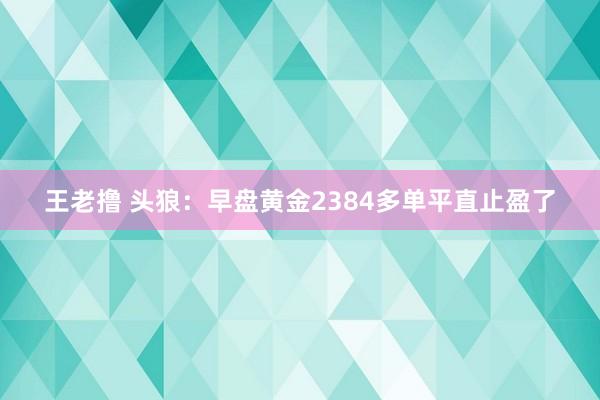 王老撸 头狼：早盘黄金2384多单平直止盈了