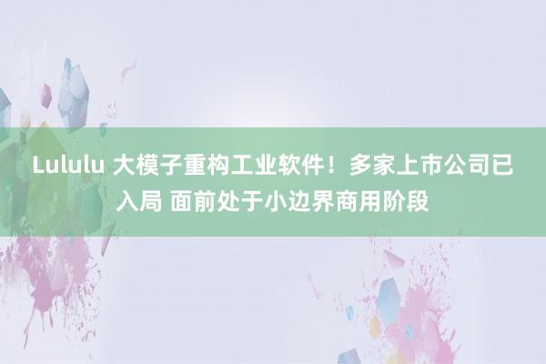 Lululu 大模子重构工业软件！多家上市公司已入局 面前处于小边界商用阶段