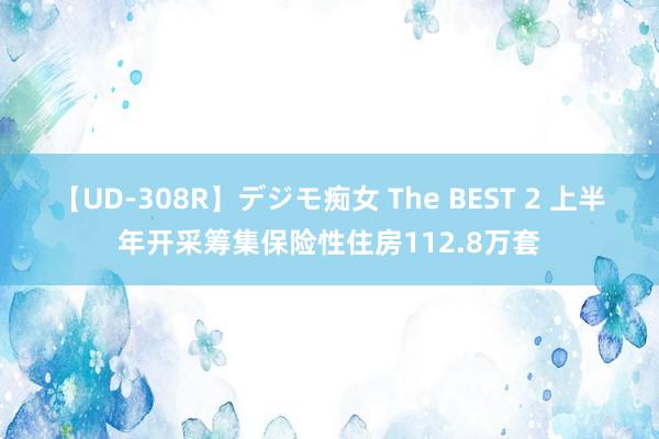 【UD-308R】デジモ痴女 The BEST 2 上半年开采筹集保险性住房112.8万套