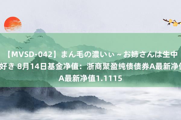 【MVSD-042】まん毛の濃いぃ～お姉さんは生中出しがお好き 8月14日基金净值：浙商聚盈纯债债券A最新净值1.1115