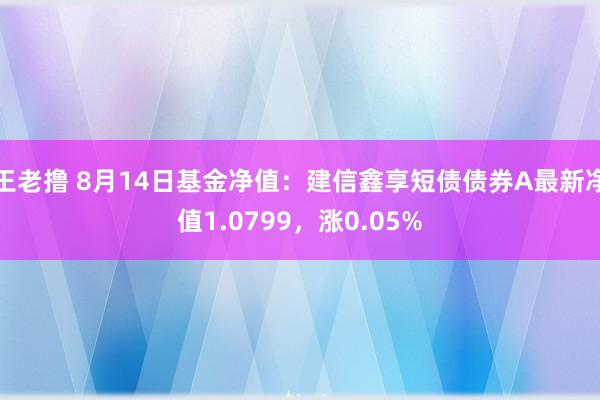 王老撸 8月14日基金净值：建信鑫享短债债券A最新净值1.0799，涨0.05%