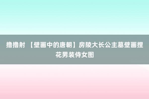 撸撸射 【壁画中的唐朝】房陵大长公主墓壁画捏花男装侍女图