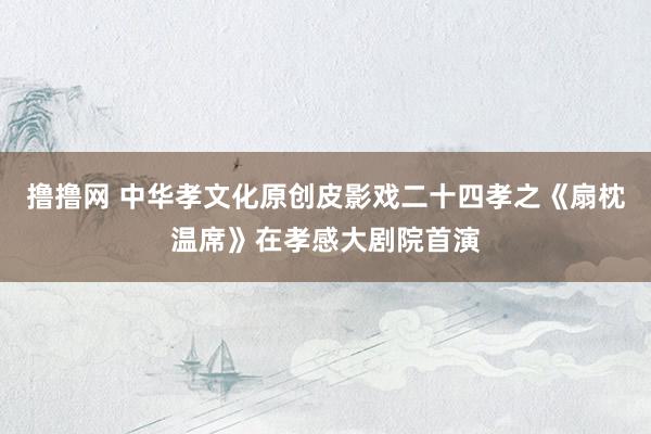 撸撸网 中华孝文化原创皮影戏二十四孝之《扇枕温席》在孝感大剧院首演