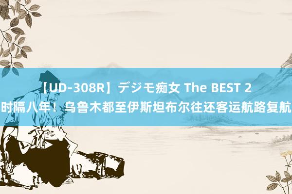 【UD-308R】デジモ痴女 The BEST 2 时隔八年！乌鲁木都至伊斯坦布尔往还客运航路复航