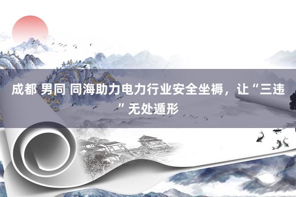 成都 男同 同海助力电力行业安全坐褥，让“三违”无处遁形