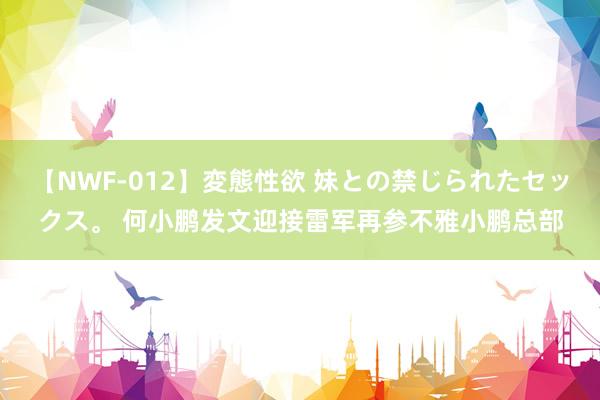 【NWF-012】変態性欲 妹との禁じられたセックス。 何小鹏发文迎接雷军再参不雅小鹏总部