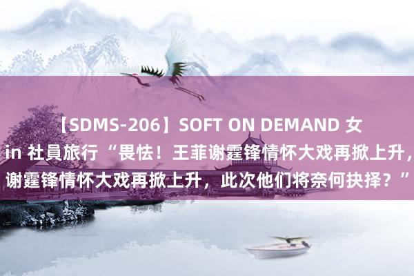 【SDMS-206】SOFT ON DEMAND 女子社員スペシャル野球拳 in 社員旅行 “畏怯！王菲谢霆锋情怀大戏再掀上升，此次他们将奈何抉择？”