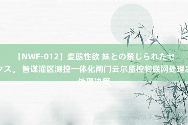 【NWF-012】変態性欲 妹との禁じられたセックス。 智谋灌区测控一体化闸门云尔监控物联网处理决策