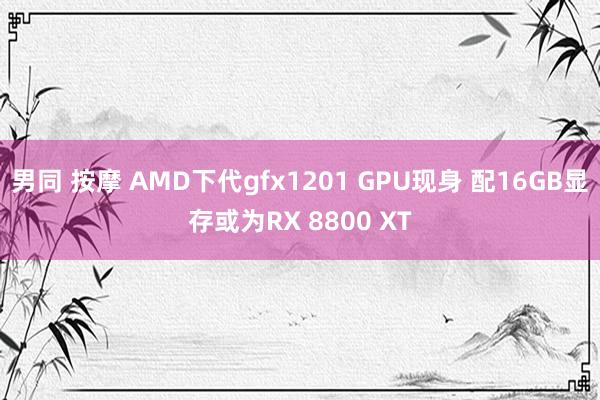 男同 按摩 AMD下代gfx1201 GPU现身 配16GB显存或为RX 8800 XT