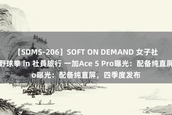 【SDMS-206】SOFT ON DEMAND 女子社員スペシャル野球拳 in 社員旅行 一加Ace 5 Pro曝光：配备纯直屏，四季度发布