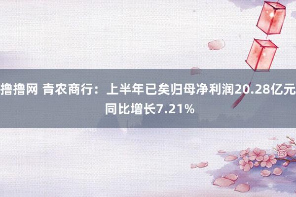 撸撸网 青农商行：上半年已矣归母净利润20.28亿元 同比增长7.21%