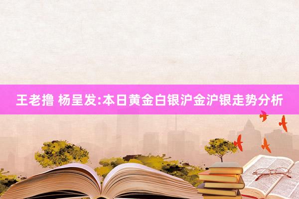 王老撸 杨呈发:本日黄金白银沪金沪银走势分析