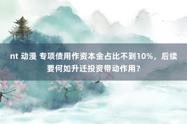 nt 动漫 专项债用作资本金占比不到10%，后续要何如升迁投资带动作用？