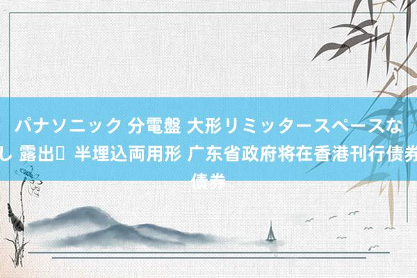 パナソニック 分電盤 大形リミッタースペースなし 露出・半埋込両用形 广东省政府将在香港刊行债券