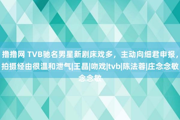 撸撸网 TVB驰名男星新剧床戏多，主动向细君申报，拍摄经由很温和泄气|王晶|吻戏|tvb|陈法蓉|庄念念敏