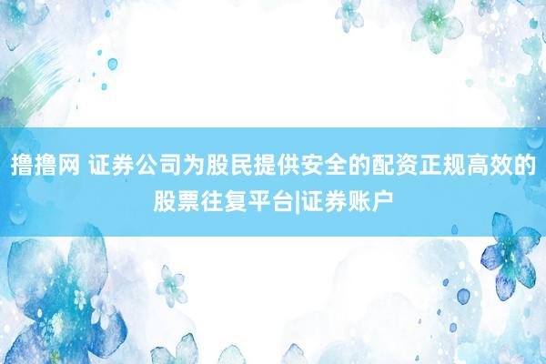 撸撸网 证券公司为股民提供安全的配资正规高效的股票往复平台|证券账户