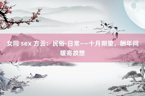 女同 sex 方云：民俗·日常——十月朔望，酬年问暖寄故想