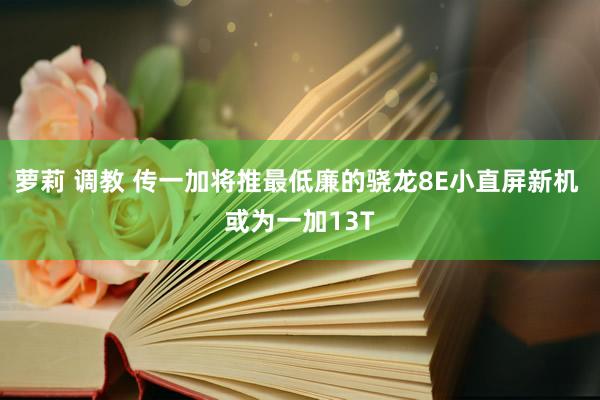 萝莉 调教 传一加将推最低廉的骁龙8E小直屏新机 或为一加13T